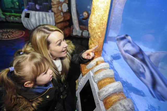 A new Jurassic Seas exhibition at Sea Life Blackpool.  Pictured is Emma Waring with daughter Hallie, aged 3.