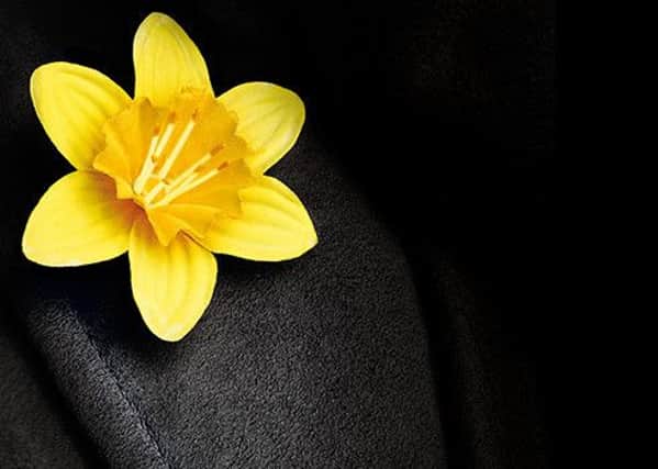 Marie Curie Daffodil Appeal