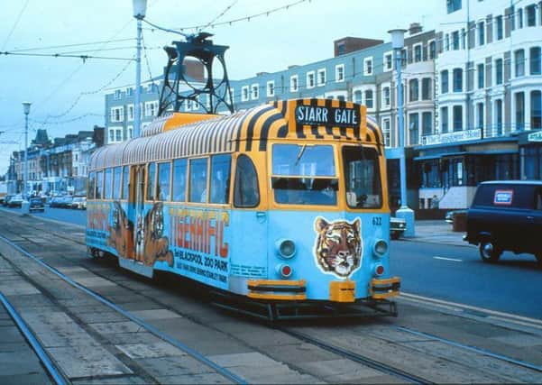 A much-loved heritage tram on the tracks