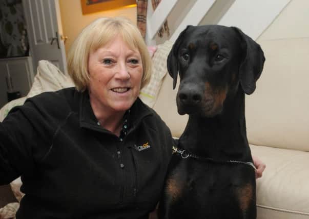 BLACKPOOL  08-03-16
Jeanette Gregson from Thornton-Cleveleys with doberman Louis, she is taking to Crufts 2016.