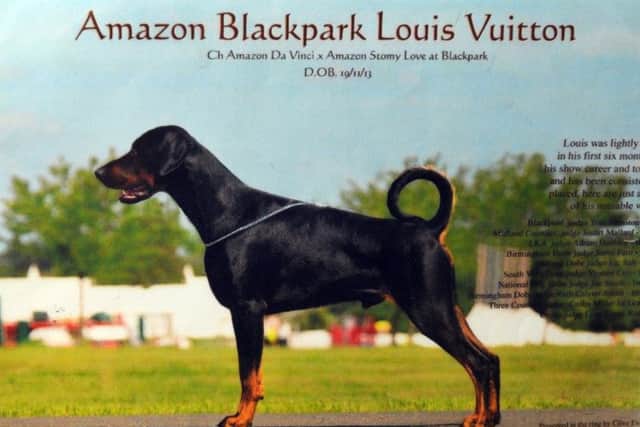 BLACKPOOL  08-03-16 Louis' promo picture