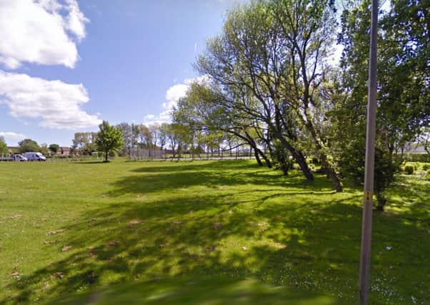 Councillor Luke Taylor announced plans for a new nature area at Mereside Park (Pic: Google maps)