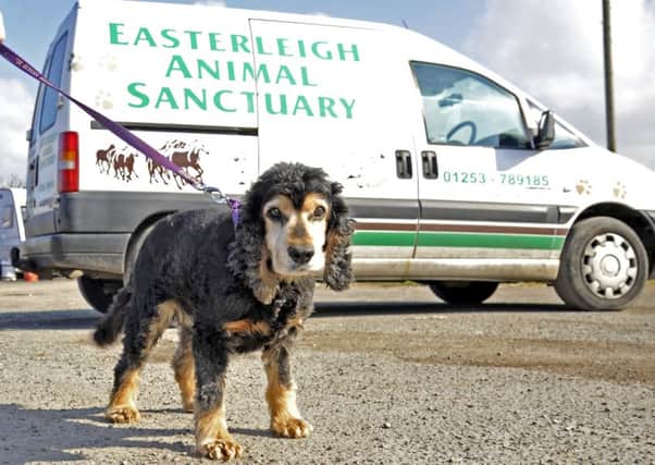 JD leaves Easterleigh Animal Sanctuary due to its closure