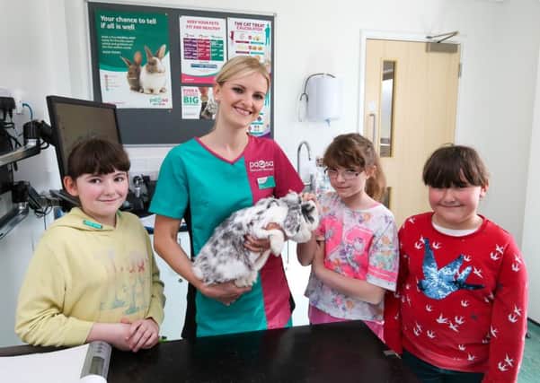 Pebbles with vet Amy Labbate, and owners Emily, Alice and Amy