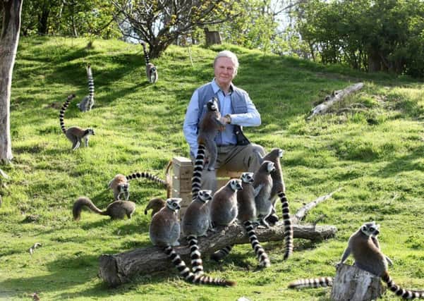 Madame Tussauds Blackpool celebrated Sir David Attenborough's 90th birthday by taking their waxwork figure of the broadcaster to Blackpool Zoo where it is pictured with the lemurs.