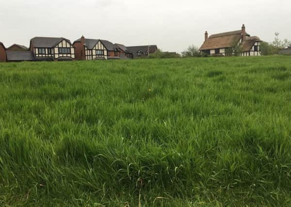 Residents are complaining about uncut grass on Herons Reach