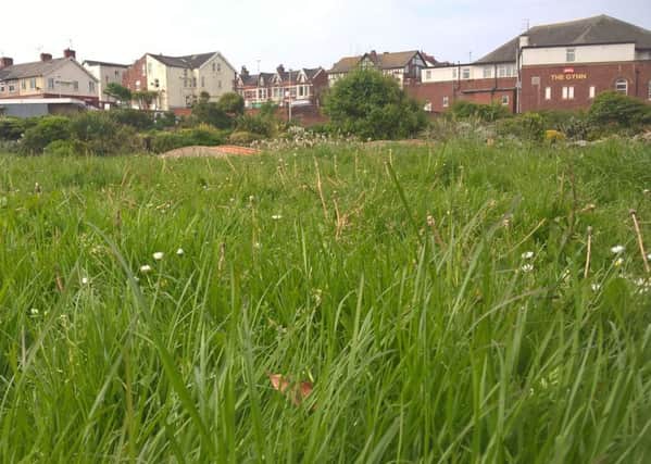 Grass has been left uncut at Gynn Square