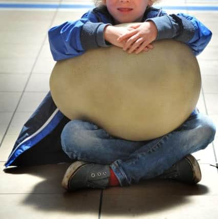 Lucas Hawes with the dino egg