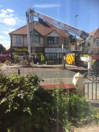 Aerial ladder platform deployed to rescue a seagull in Cleveleys      Picture: Sue Taylor