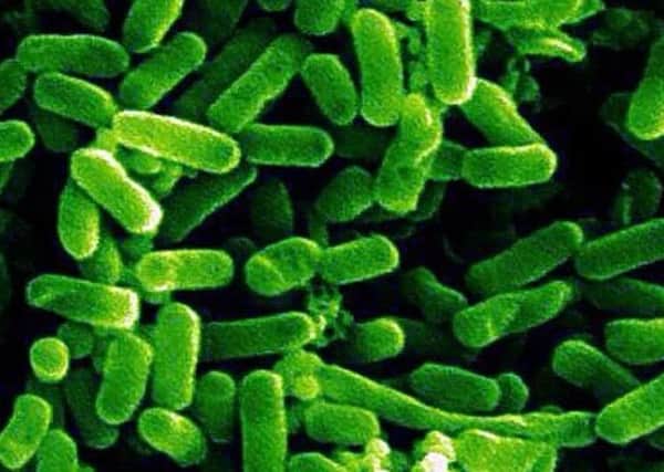Hygiene warning over latest outbreak of e-coli