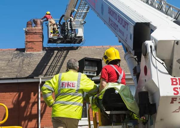 Fire crews rescue the seagull  earlier this week