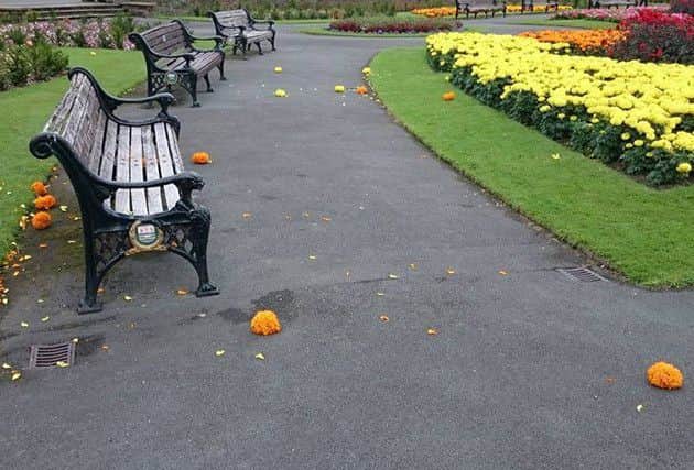 Vandals ripped handfuls of flowers from flowerbeds at Blackpools Stanley Park before dumping them on the footpath. Picture by Sam MacHolt