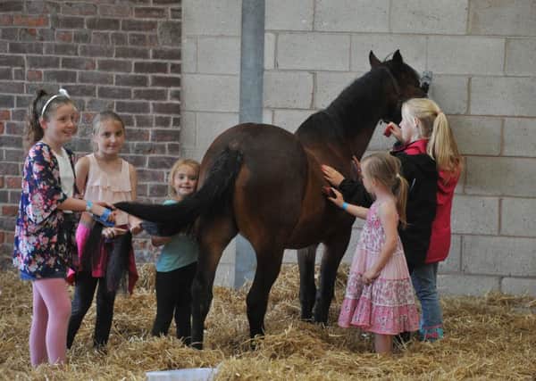 Children enjoying a previous family fun day at Penny Farm, World Horse Welfare, Blackpool