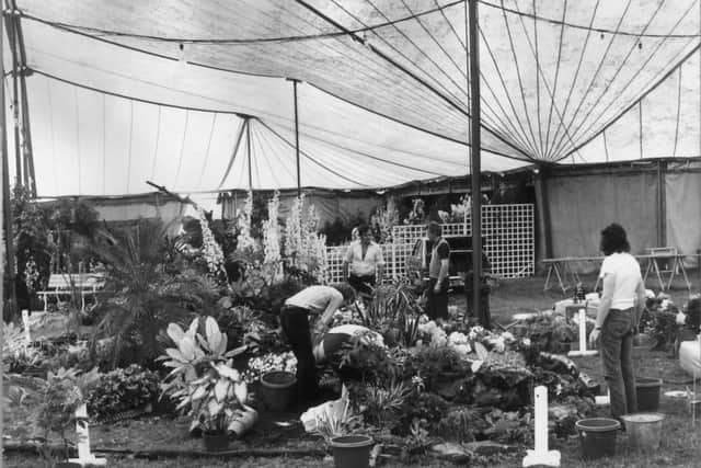 A marquee is transformed into a garden of living colour at the 1973 Royal Lancashire Show at Ribby Hall