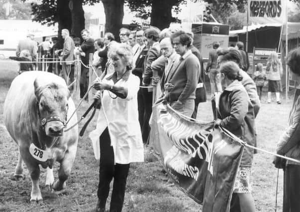 Judging at the 1981 Royal Lancashire Show