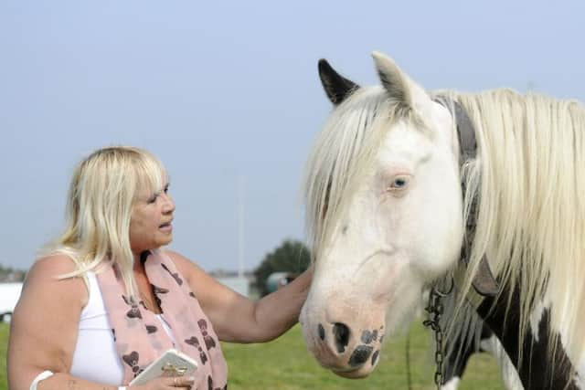 Lorna Fielding looks at one of the horses.