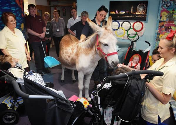 Patients and staff at Trinity Hospice and Brian House in Bispham had an unusual visitor today in the shape of Rusty the donkey.
Rusty meets patients in Brian House.