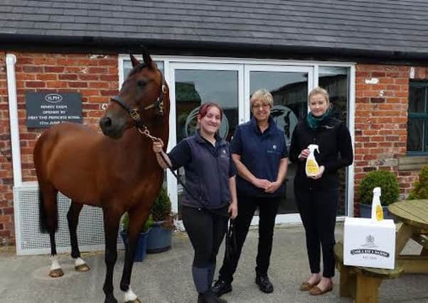 Carr & Day & Martin, part of the Tangerine Group has donated special insect spray to World Horse Welfare.