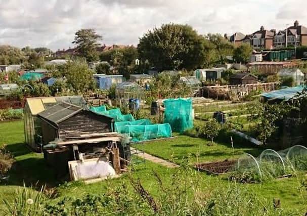 The allotments on Lawson Road