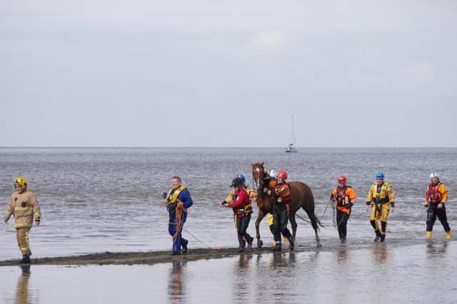 Joan Holden captured the drama as Eric the horse was rescued from quick-sand in Knott End as the tide came in