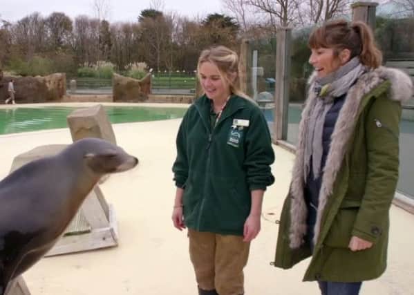 [L-R] Anya the Californian sealion, with Blackpool Zoo's Alyx Milne, and Ingenious Animals' Lucy Cooke (Pic: BBC One)