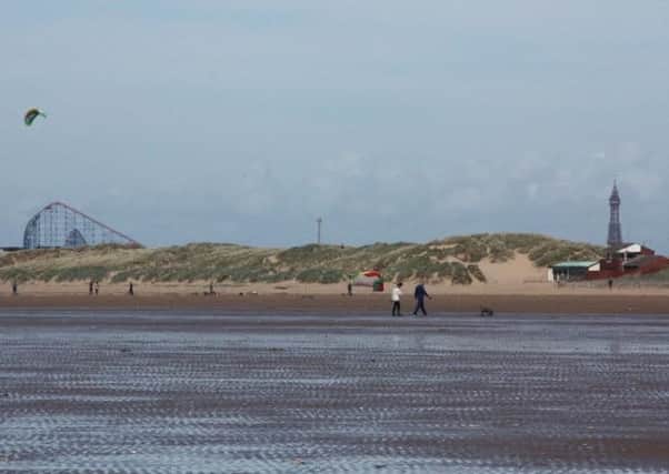 The sand dunes will be the focus of specialist walks to find out about the area's  wildlife