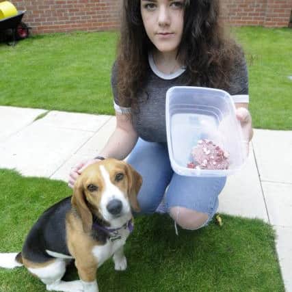 Chloe Richardson with dog Missi who survived a posion attempt