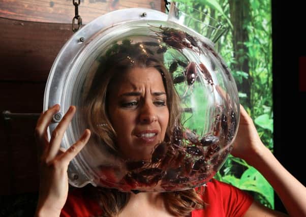 Gemma Atkinson photographed at the I'm A Celebrity Ant and Dec attraction at Madame Tussauds Blackpool. 

Picture: Jason Lock

Further