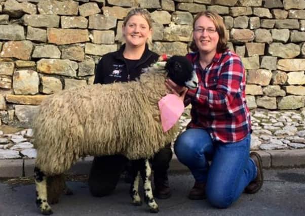 Lisa Huddleston, right, sold a lamb for Â£400 to Liz Hoggarth