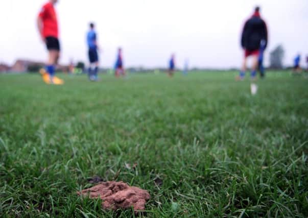 Footballers recently spoke out about having to clear dog muck off the playing fields at Cottam Hall, Poulton, before they play