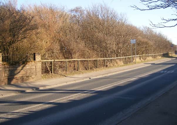 Broadwater Wood at Fleetwood pictured from Fleetwood Road