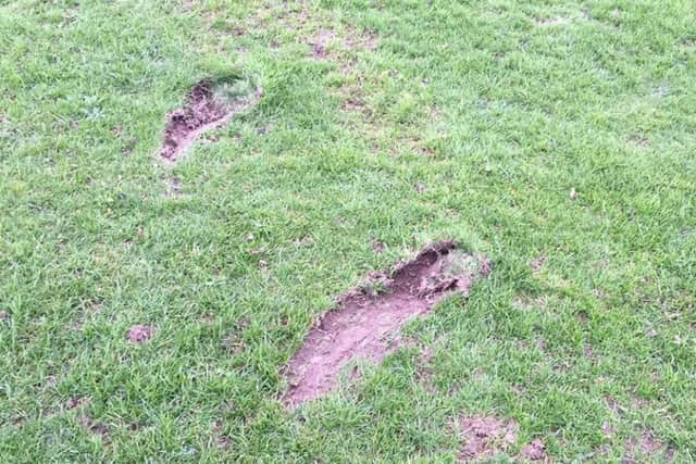 Layton Juniors FC's football pitch has been damaged by horses galloping over the grass. Picture by Amanda Borrino.