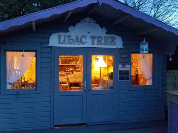 Lilac Tree, Walton-le-Dale