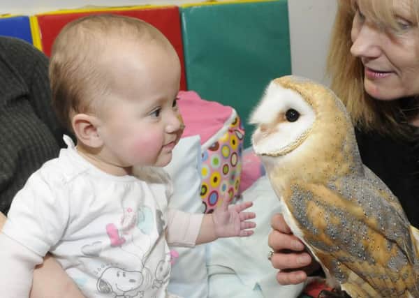 Karen Mankowska pays a visit to Brian House to show the children some of her barn owls. Amelia-Rose Strefford with owl Angel.