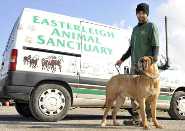 Marc Cartmell with Denzel as he leaves Easterleigh Animal Sanctuary due to its closure