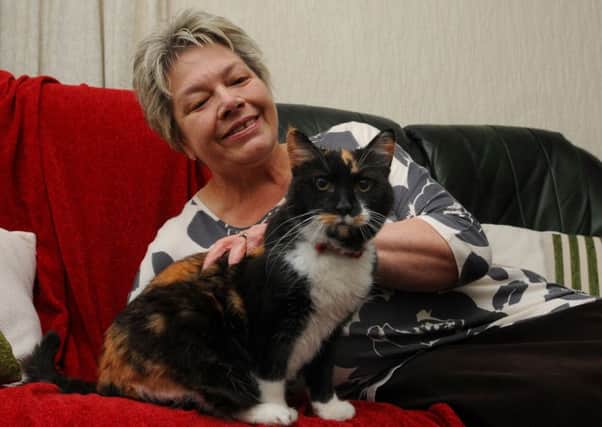 BLACKPOOL  - CAT OF THE DAY   06-01-17
Ruby, a ten-year-old cat, is happy in her new home, with new owner Maureen Lightowler from Blackpool.