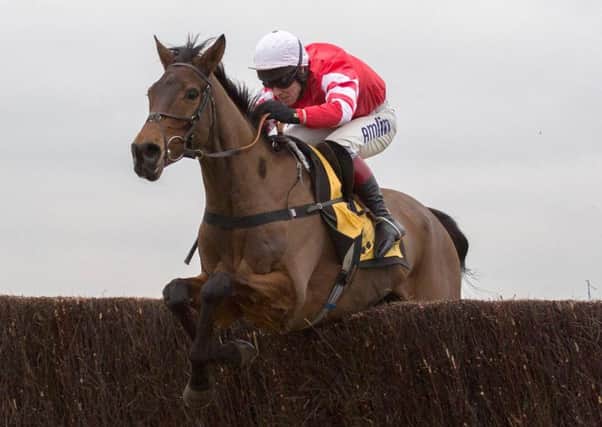 Coneygree - out of Gold Cup