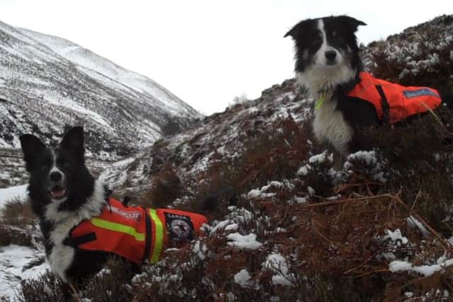 LIFE-SAVING DUO: Search dogs Mij and Floss.