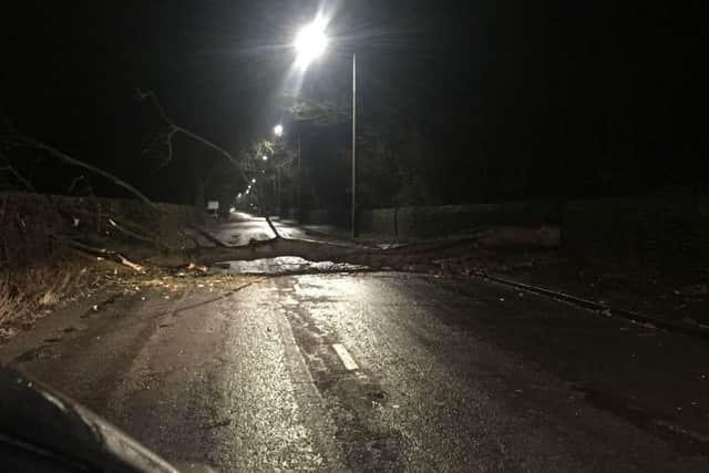 A tree fell in Ballam Road, Lytham, leaving it blocked