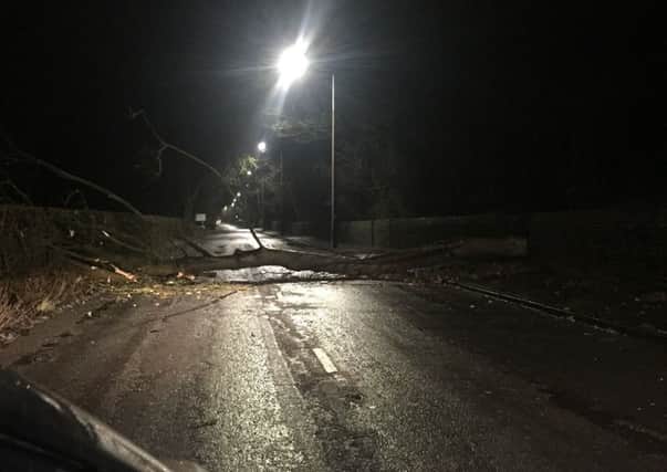 Picture of a fallen tree on Ballam Road, near Lytham Green Drive Golf Club, sent in by a Gazette reader.