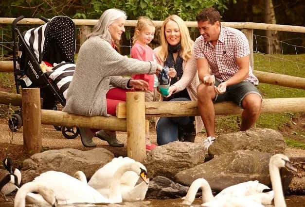 Parents think they are doing right by their children but risking burnout