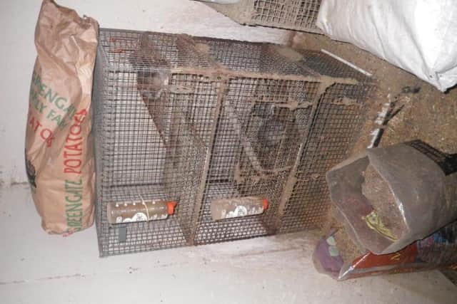 A degu cage found at Grasmere Road. John Gosnell, 72, has received a lifetime ban on keeping animals. Picture from RSPCA