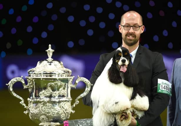 Owner Jason Lynn with Afterglow Miami Ink the American Cocker Spaniel, who has been crowned Best In Show during day four of Crufts 2017 at the NEC in Birmingham. PRESS ASSOCIATION Photo. Picture date: Sunday March 12, 2017. Judge Jeff Horswell picked the two-year-old pup from Blackpool, who won Saturday's Gundog group and was handled by owner Jason Lynn. See PA story ANIMALS Crufts. Photo credit should read: Joe Giddens/PA Wire