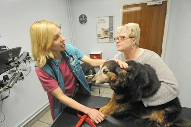 Behind the scenes at PDSA animal hospital.  Surgeon Malwina Krajewska with Debbie Blackburn and Lady.