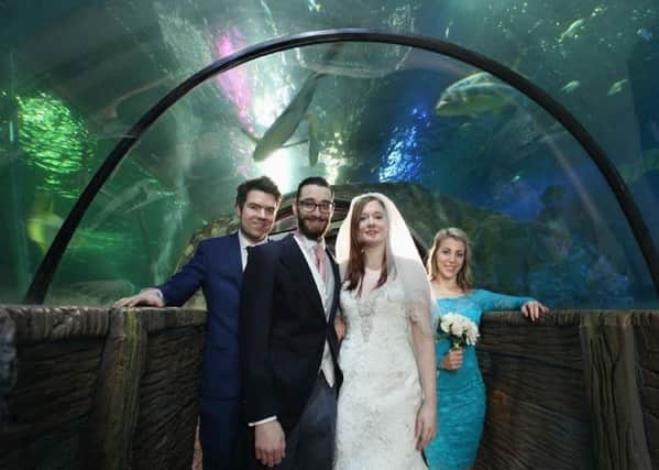 Couples can tie the knot at Blackpool Sea Life's shark tank