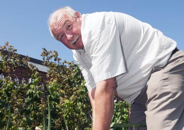 Coun Tony Ford on his allotment
