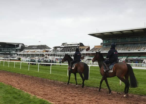 Horses from Anthony Honeyball's stable exercise on Ladies Day of the Randox Health Grand National Festival at Aintree