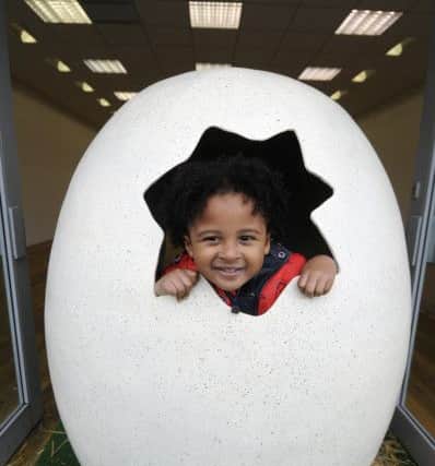 Dinosaur fun at Fleetwood Freeport.  Pictured is 2-year-old Isaiah Peter-Thomas inside an egg.