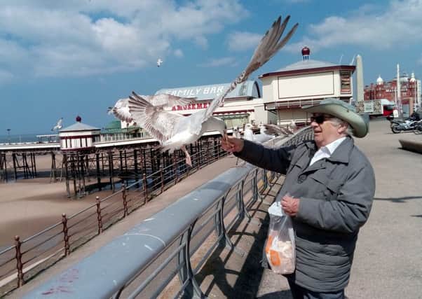 John Buller, 79, feeding the seagulls on Blackpool Promenade
