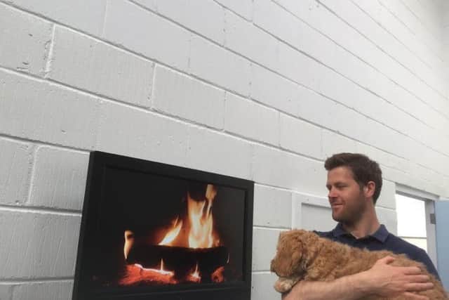 Alan with the chill out doggy TV at McFarlane Canine Services